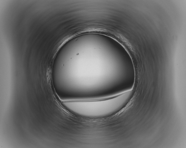 X0000116381369200912091406