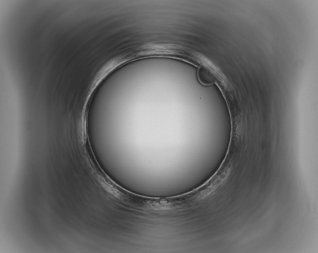 X0000116381370200912091406