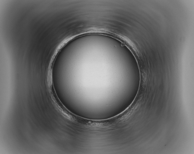 X0000116381371200912091406