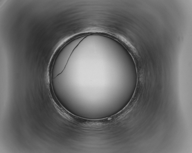 X0000116381372200912091406