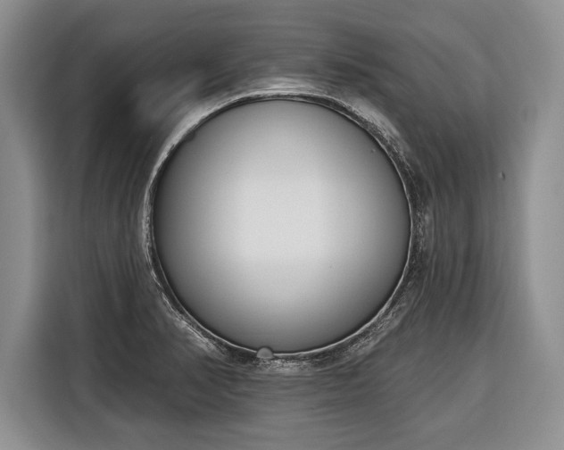 X0000116381374200912091406