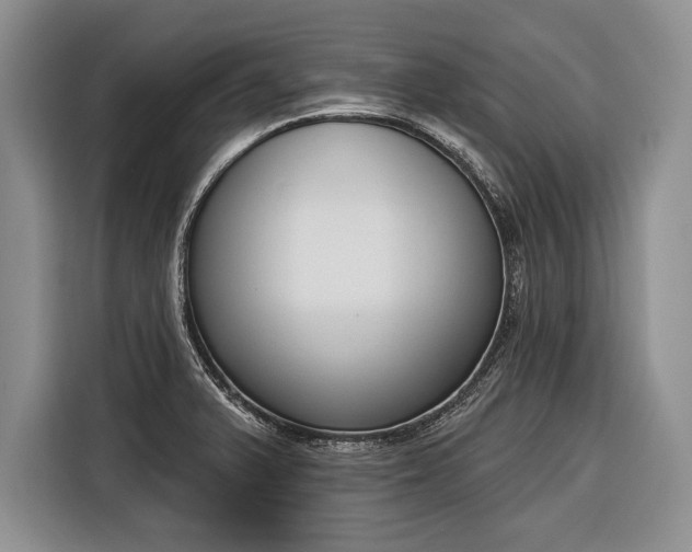 X0000116381375200912091406