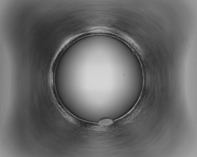 X0000116381376200912091406