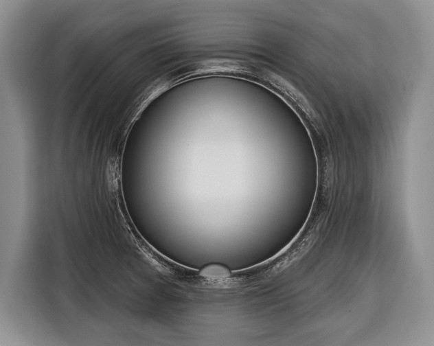 X0000116381377200912091406