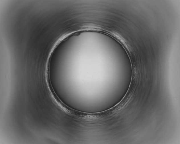 X0000116381379200912091406