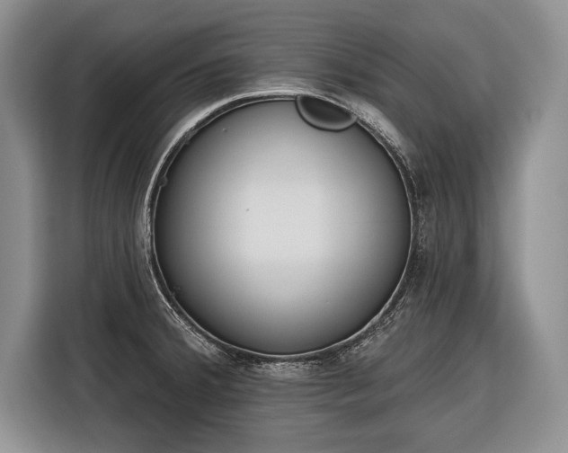 X0000116381380200912091406