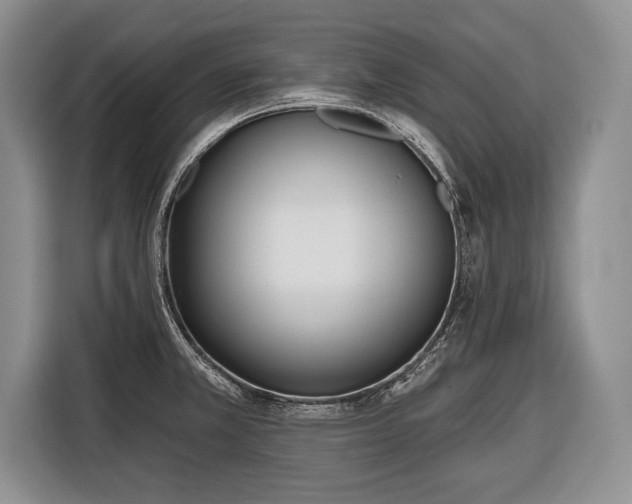 X0000116381381200912091406