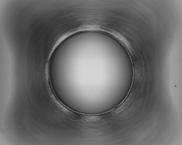X0000116381382200912091406