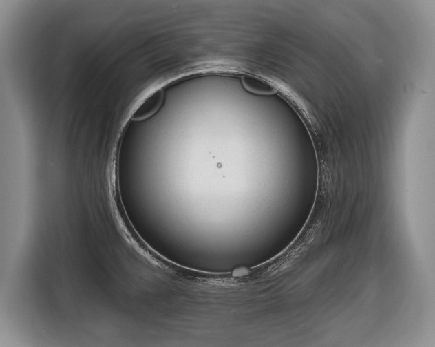 X0000116381383200912091406