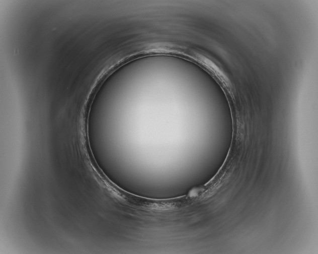 X0000116381384200912091406