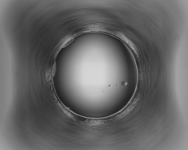 X0000116381385200912091406