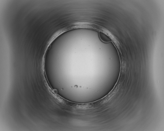 X0000116381386200912091406
