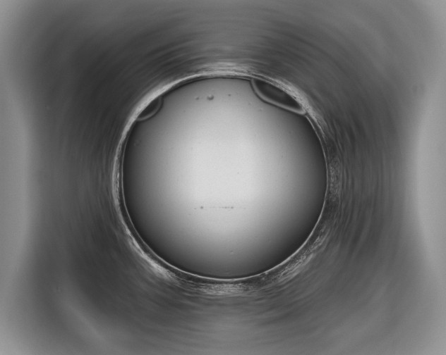 X0000116381387200912091406