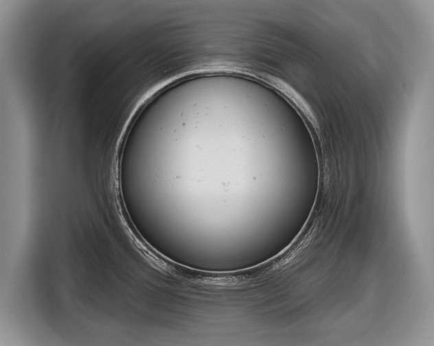 X0000116381388200912091406