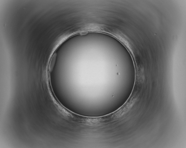 X0000116381389200912091406