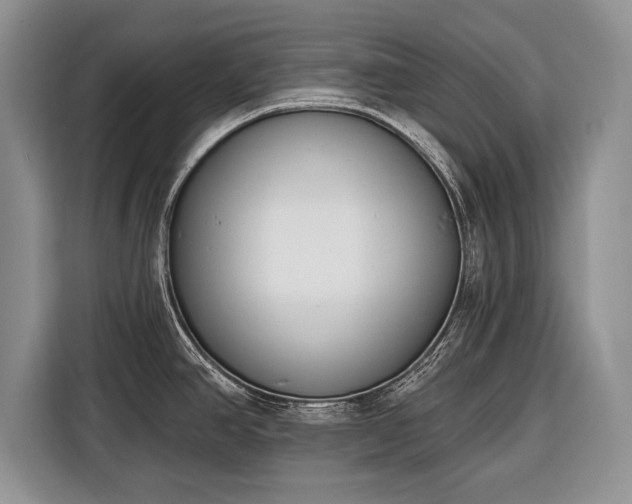 X0000116381390200912091406