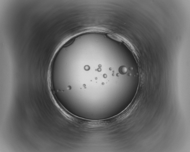 X0000116381391200912091406