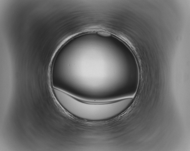 X0000116381392200912091406