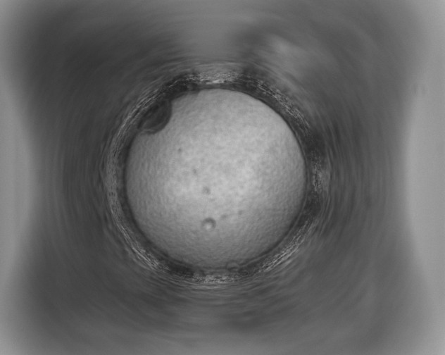 X0000116381393200912091405