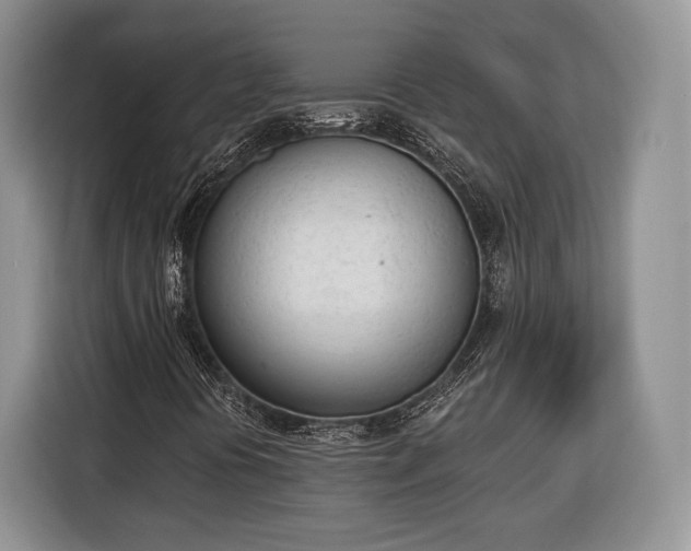 X0000116381394200912091405