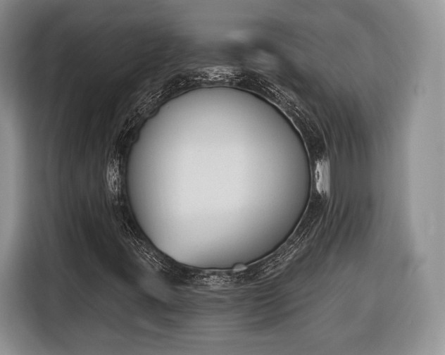 X0000116381395200912091405