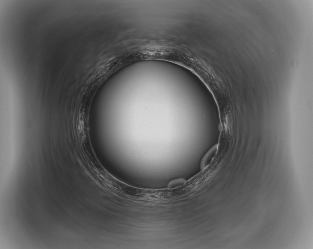 X0000116381396200912091405