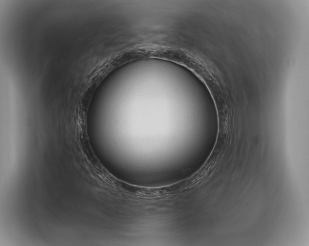 X0000116381397200912091405