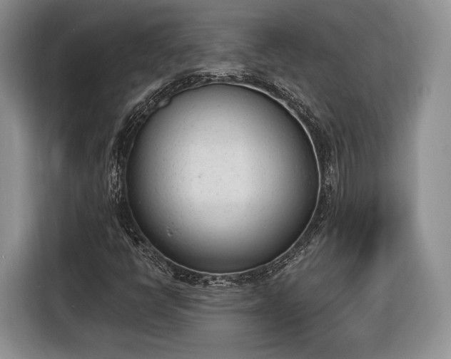 X0000116381398200912091405