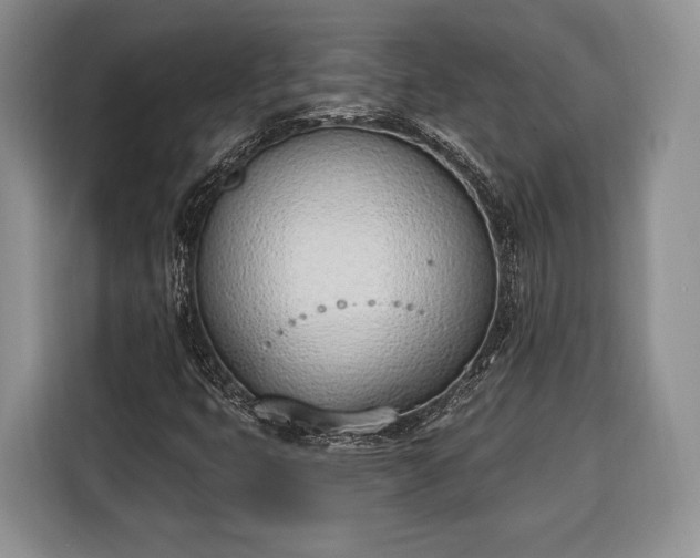 X0000116381399200912091405