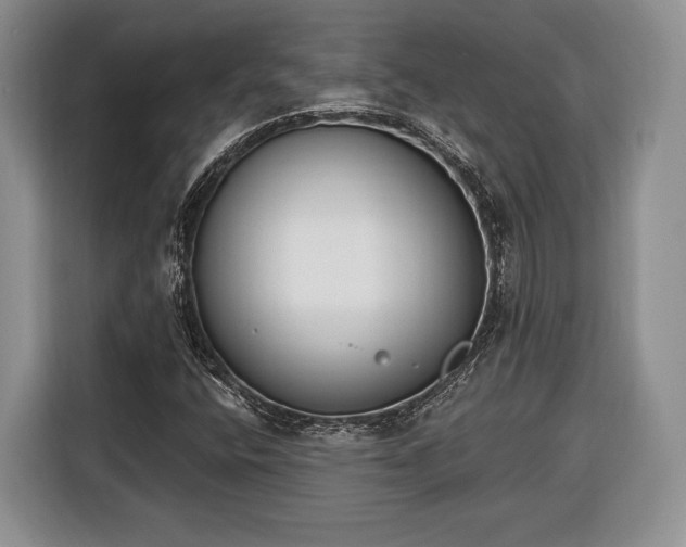 X0000116381400200912091405