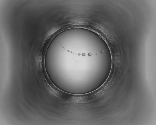 X0000116381402200912091405