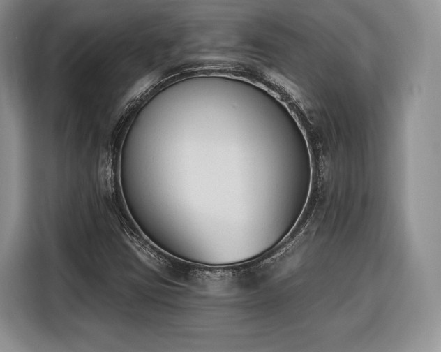 X0000116381403200912091405