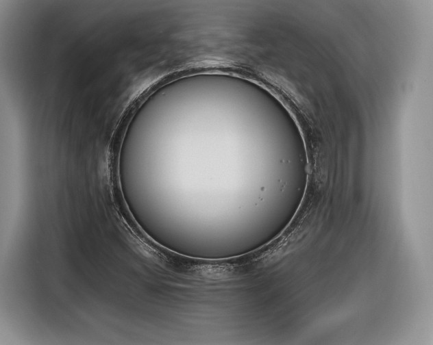 X0000116381404200912091405