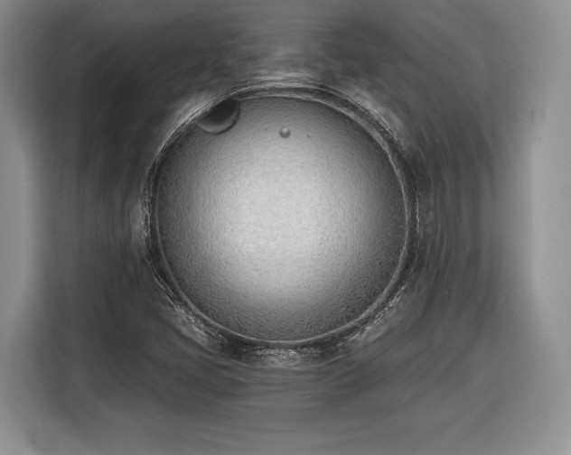 X0000116381405200912091405