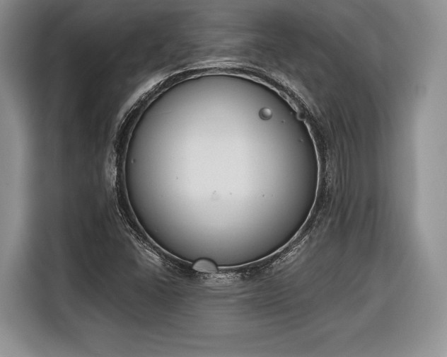 X0000116381406200912091405