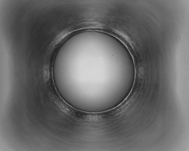 X0000116381407200912091405