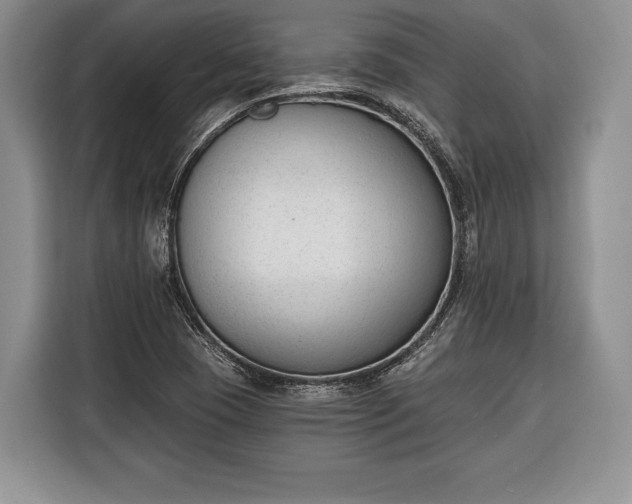 X0000116381409200912091405