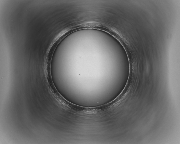 X0000116381410200912091405