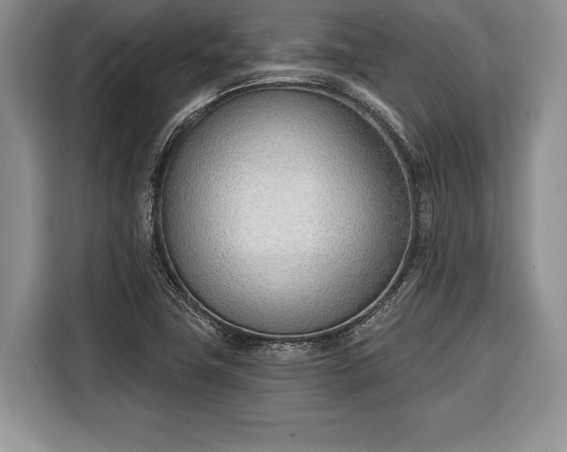 X0000116381411200912091405