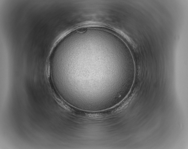 X0000116381413200912091405
