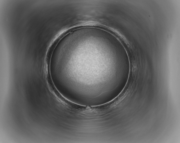 X0000116381414200912091405