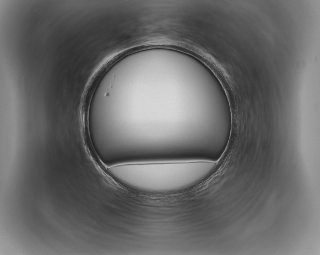 X0000116381416200912091405