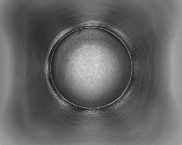 X0000116381418200912091405