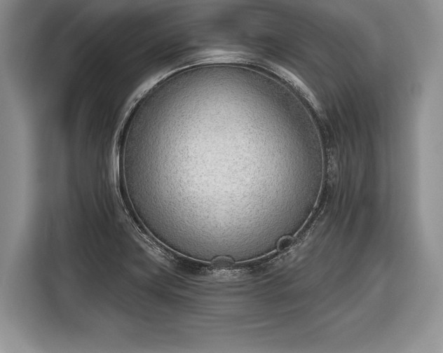X0000116381419200912091405