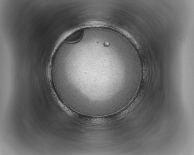 X0000116381421200912091405