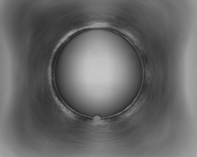 X0000116381422200912091405
