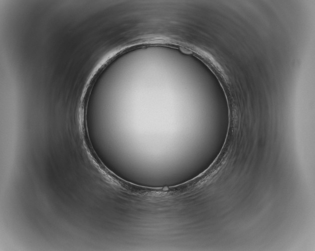 X0000116381424200912091405