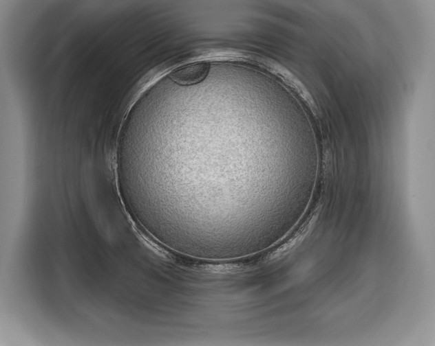 X0000116381425200912091405