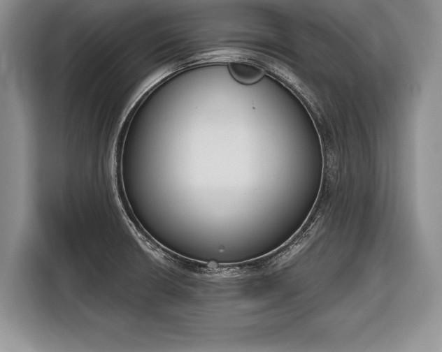 X0000116381426200912091405