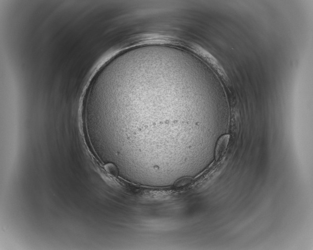 X0000116381427200912091405